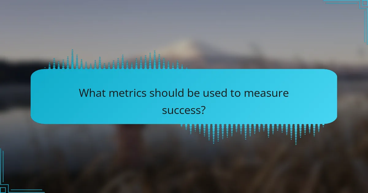 What metrics should be used to measure success?